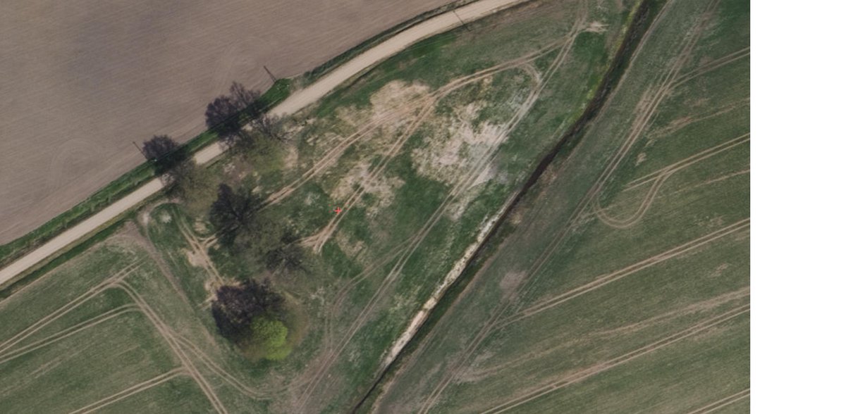 Jānis Šatrovskis tweet media