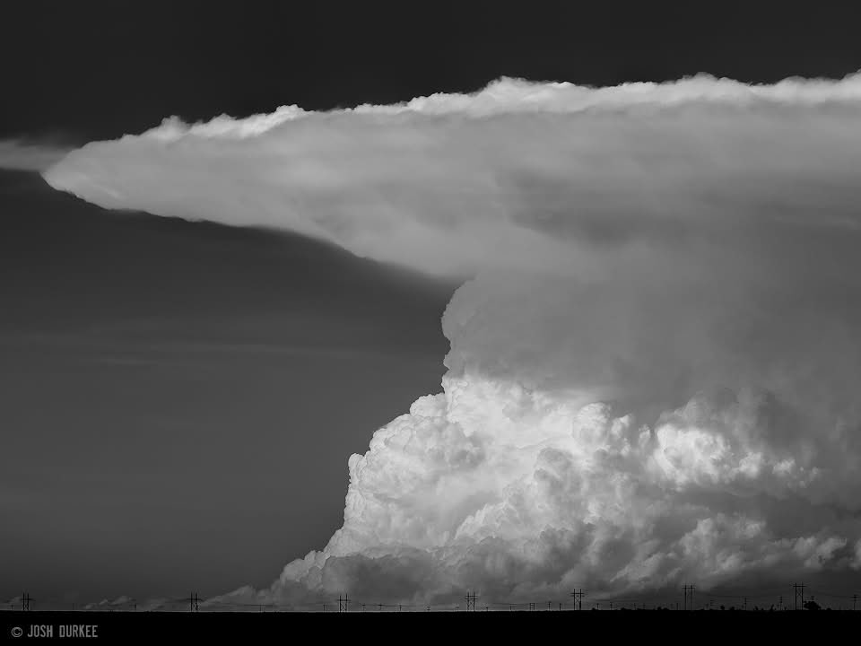 Josh Du☈kee tweet media