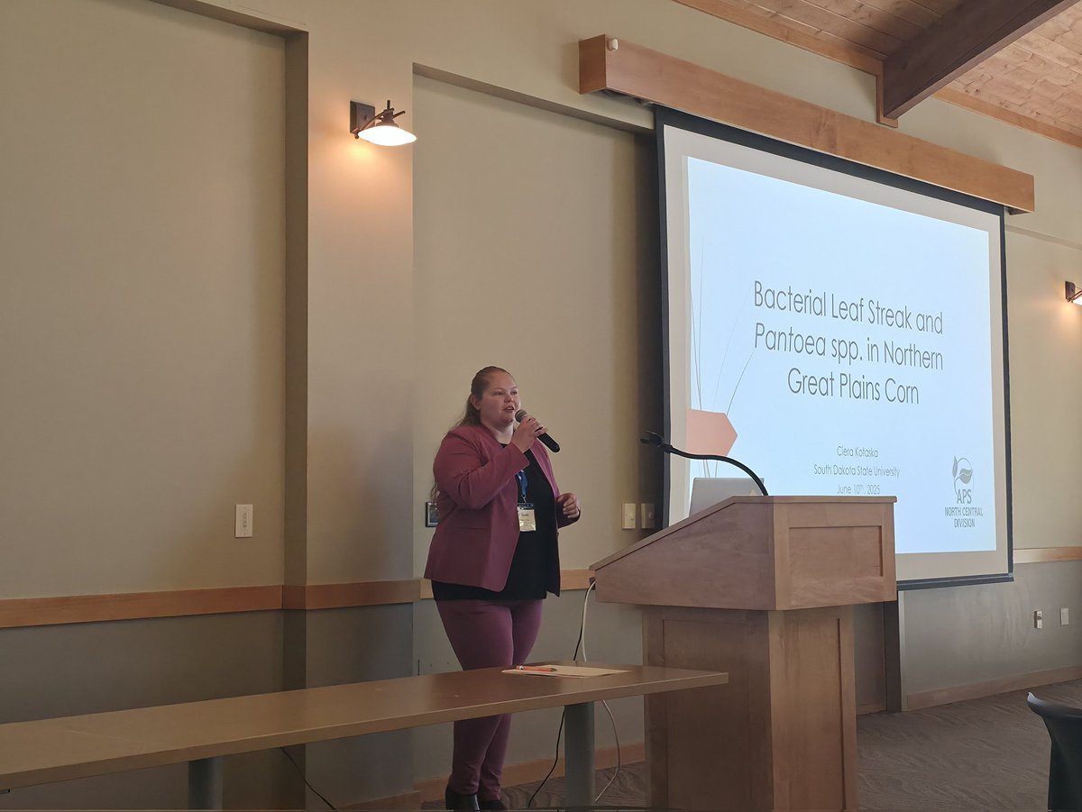 #BrookingsAPSNC25
Ciera Kotaska on corn bacterial pathogens and thier survey across South Dakota.