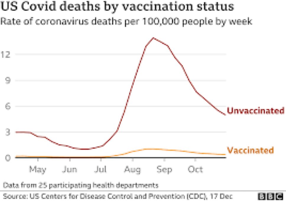 Why, at the heights of the pandemic, did unvaccinated people die from Covid at much higher rates than those vaccinated

I thought the vaccines didn't work?

I guess they did