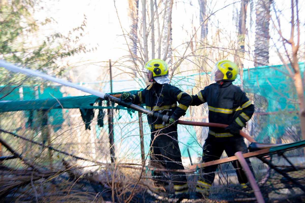 تمكنت فرق الإطفاء بإدارة الدفاع المدني والإسعاف بمحافظة #مسقط من السيطرة على حريق شب في مزرعة بولاية #السيب ، دون تسجيل إصابات.

#هيئة_الدفاع_المدني_والإسعاف