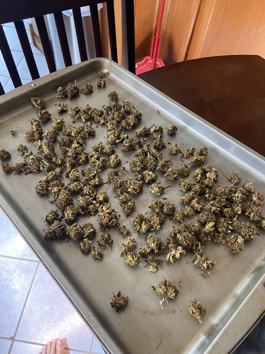 Time to stink the house up.