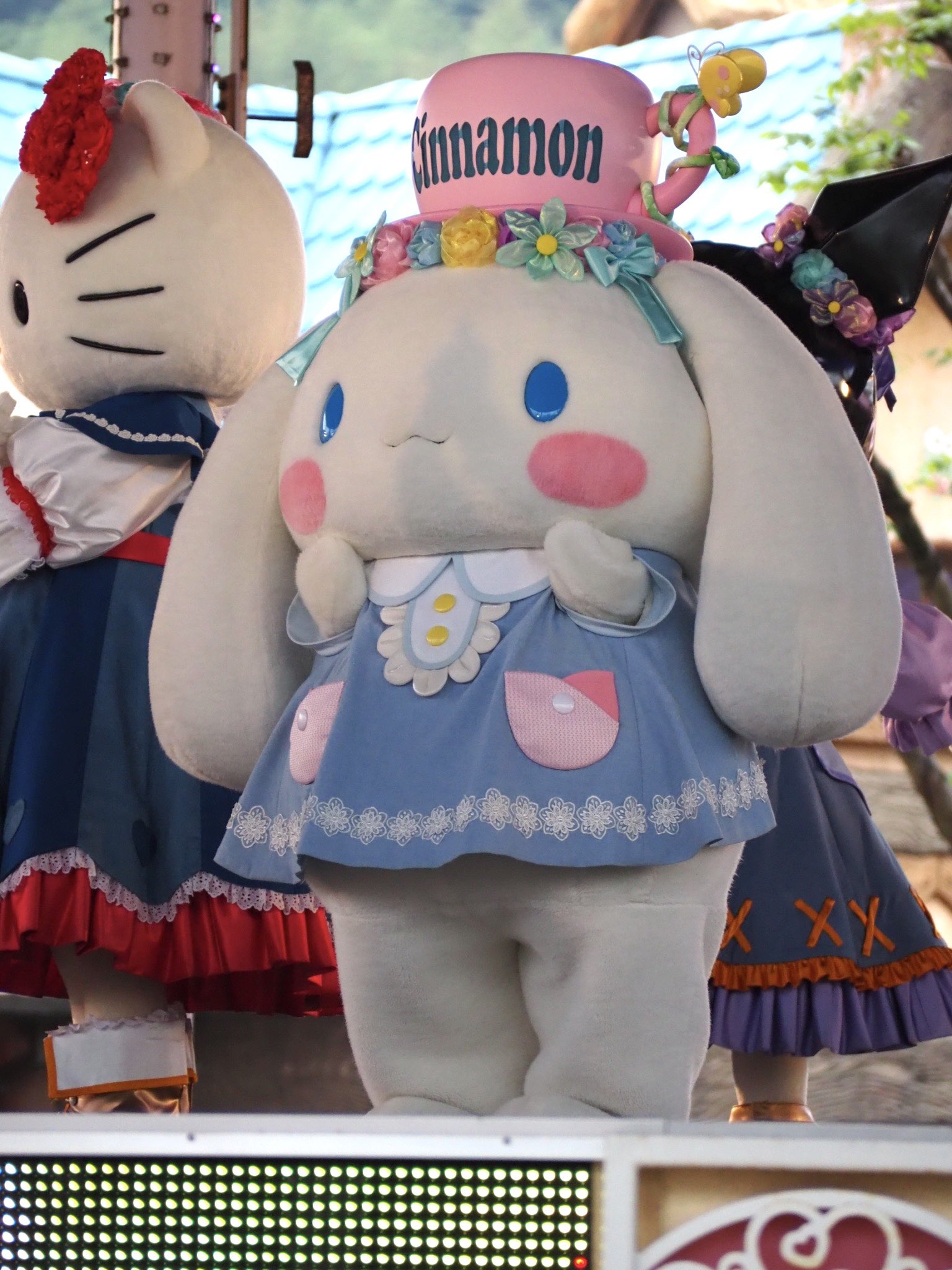 ❣️シナモン❣️値下げ可能です シナモンくん - Cerca / X