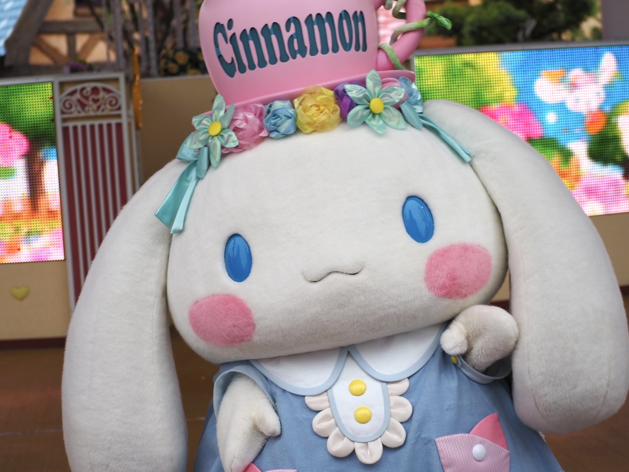 ❣️シナモン❣️値下げ可能です シナモンくん - Cerca / X