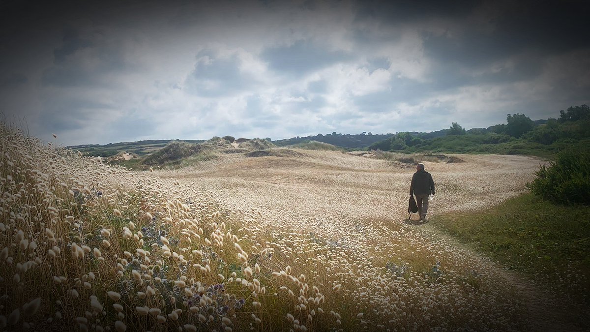 EDF Flamanville (@edfflamanville) on Twitter photo Un petit bol d’air iodé ? 🌊🌻 Venez visiter les dunes d’Héauville au cours d'une visite guidée de 10h à 12h le 26/07. Dépaysement garanti !⌛
La visite est gratuite et accessible à partir de 10ans.
➡️S'inscrire : urls.fr/yyk15_
<a href="/CotentinUnique/">Cotentin Uniqueᅠᅠᅠᅠᅠᅠᅠᅠᅠᅠᅠᅠᅠᅠᅠᅠᅠᅠᅠᅠᅠᅠᅠᅠᅠᅠᅠᅠᅠ</a> 🫶 Un petit bol d’air iodé ? 🌊🌻 Venez visiter les dunes d’Héauville au cours d'une visite guidée de 10h à 12h le 26/07. Dépaysement garanti !⌛
La visite est gratuite et accessible à partir de 10ans.
➡️S'inscrire : urls.fr/yyk15_
<a href="/CotentinUnique/">Cotentin Uniqueᅠᅠᅠᅠᅠᅠᅠᅠᅠᅠᅠᅠᅠᅠᅠᅠᅠᅠᅠᅠᅠᅠᅠᅠᅠᅠᅠᅠᅠ</a> 🫶