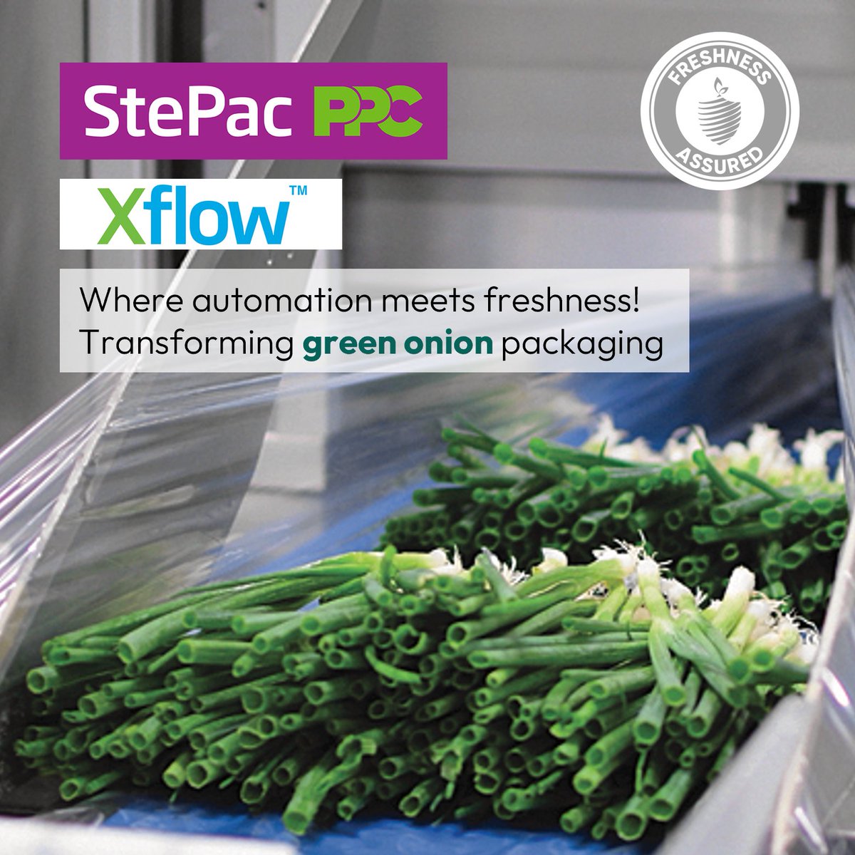 StePac_Xtend's tweet image. 🤖 Welcome to the NEW ERA of packaging automation - where green onions meet innovation! 🤖

Our patented Xflow™ technology is transforming how GREEN ONIONS meet their perfect packaging match for shelf-life extension.

#StePacPPC #GreenOnions #PackagingAutomation  #FoodWaste