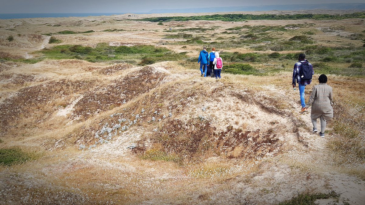 EDF Flamanville (@edfflamanville) on Twitter photo Un petit bol d’air iodé ? 🌊🌻 Venez visiter les dunes d’Héauville au cours d'une visite guidée de 10h à 12h ce samedi 26/07. Dépaysement garanti !⌛
La visite est gratuite et accessible à partir de 10ans.
➡️S'inscrire : urls.fr/yyk15_
<a href="/CotentinUnique/">Cotentin Uniqueᅠᅠᅠᅠᅠᅠᅠᅠᅠᅠᅠᅠᅠᅠᅠᅠᅠᅠᅠᅠᅠᅠᅠᅠᅠᅠᅠᅠᅠ</a> 🫶 Un petit bol d’air iodé ? 🌊🌻 Venez visiter les dunes d’Héauville au cours d'une visite guidée de 10h à 12h ce samedi 26/07. Dépaysement garanti !⌛
La visite est gratuite et accessible à partir de 10ans.
➡️S'inscrire : urls.fr/yyk15_
<a href="/CotentinUnique/">Cotentin Uniqueᅠᅠᅠᅠᅠᅠᅠᅠᅠᅠᅠᅠᅠᅠᅠᅠᅠᅠᅠᅠᅠᅠᅠᅠᅠᅠᅠᅠᅠ</a> 🫶