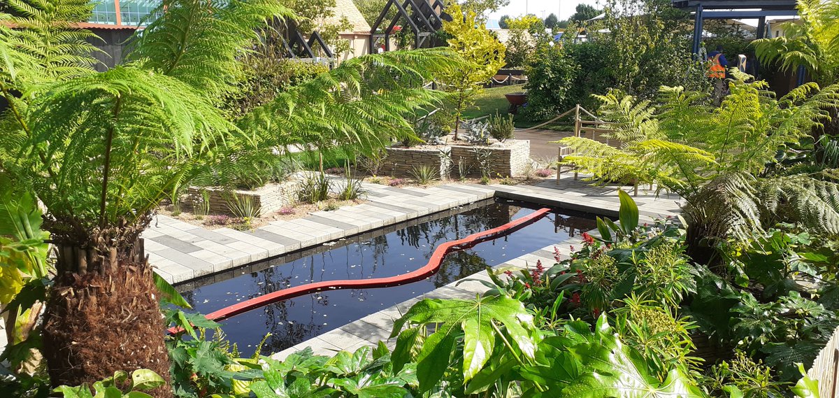 Dave Hodson Gardens tweet media