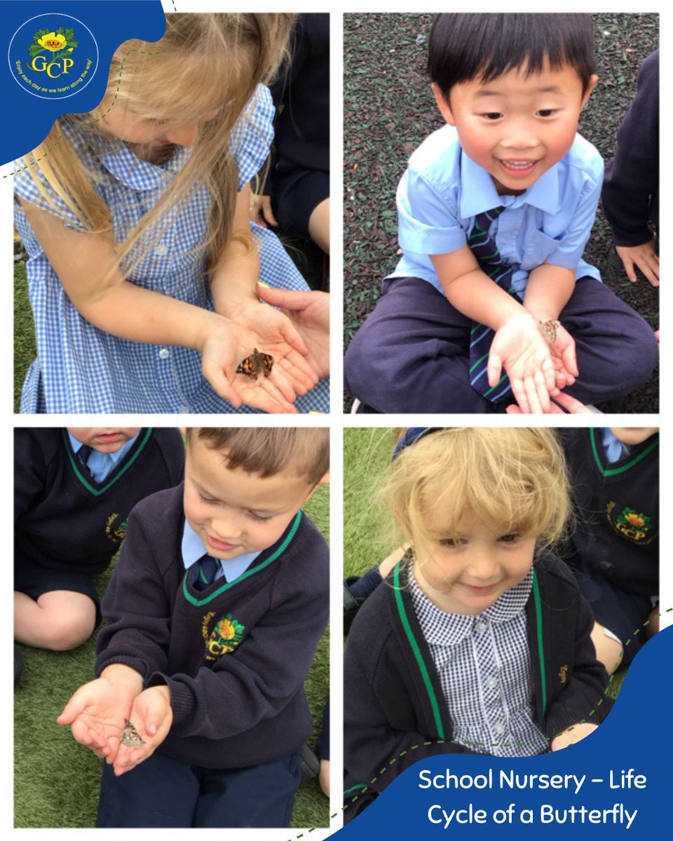 School Nursery children loved learning about the butterfly life cycle last term. They watched as caterpillars grew, formed chrysalises, and turned into butterflies. One butterfly lingered, giving many children a special chance to hold it before it flew away! 🦋✨
