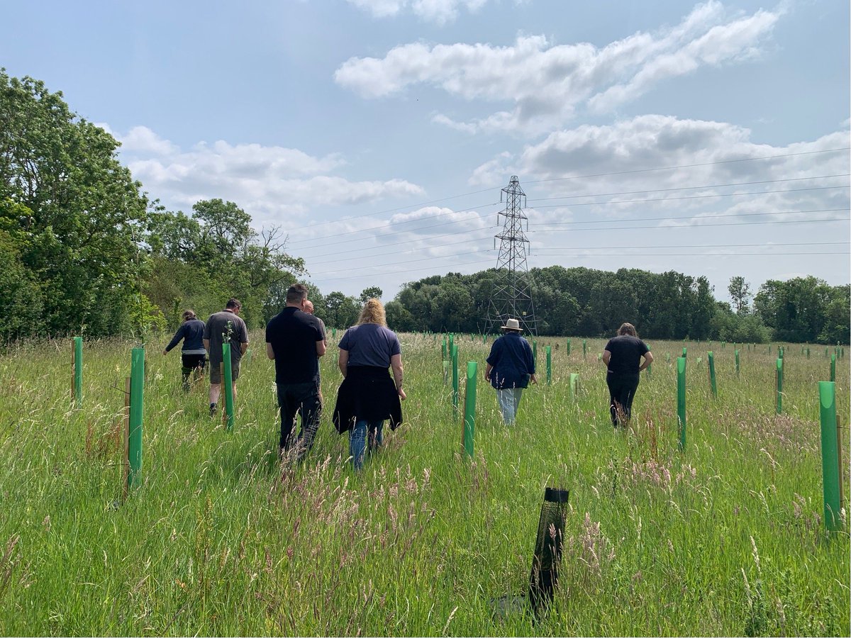 greenwoodcf's tweet photo. Average team meetings filled with endless updates, things that make you dream of being somewhere else.....? Not at Greenwood Community Forest, we go out to check our sites, share knowledge & visit thriving #TreesforClimate schemes full of healthy trees & wildlife @DefraGovUK https://t.co/wqcPfeBCqI