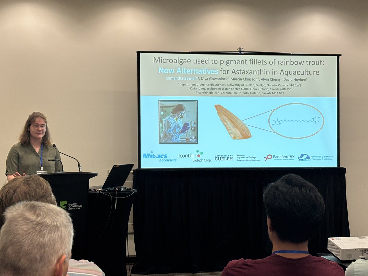 David Huyben (@davidhuyben) on Twitter photo Sam Bezner from my lab <a href="/ABSc_UofG/">Animal Biosciences</a> gave a great talk on pigmenting fillets of rainbow trout with microalgae at the Aquaculture Canada Conference
#AAC2025 Sam Bezner from my lab <a href="/ABSc_UofG/">Animal Biosciences</a> gave a great talk on pigmenting fillets of rainbow trout with microalgae at the Aquaculture Canada Conference
#AAC2025