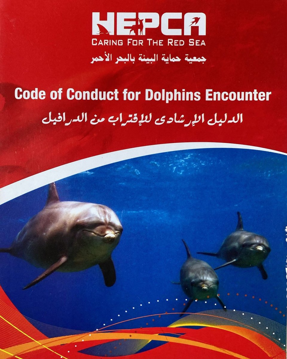 HEPCA (@hepca3) on Twitter photo HEPCA’s mooring team are also committed to spreading awareness and protecting marine life.
Recently, they’ve been sharing our Code of Conduct for Dolphin Encounters brochure to help ensure respectful and safe interactions with these incredible creatures. HEPCA’s mooring team are also committed to spreading awareness and protecting marine life.
Recently, they’ve been sharing our Code of Conduct for Dolphin Encounters brochure to help ensure respectful and safe interactions with these incredible creatures.