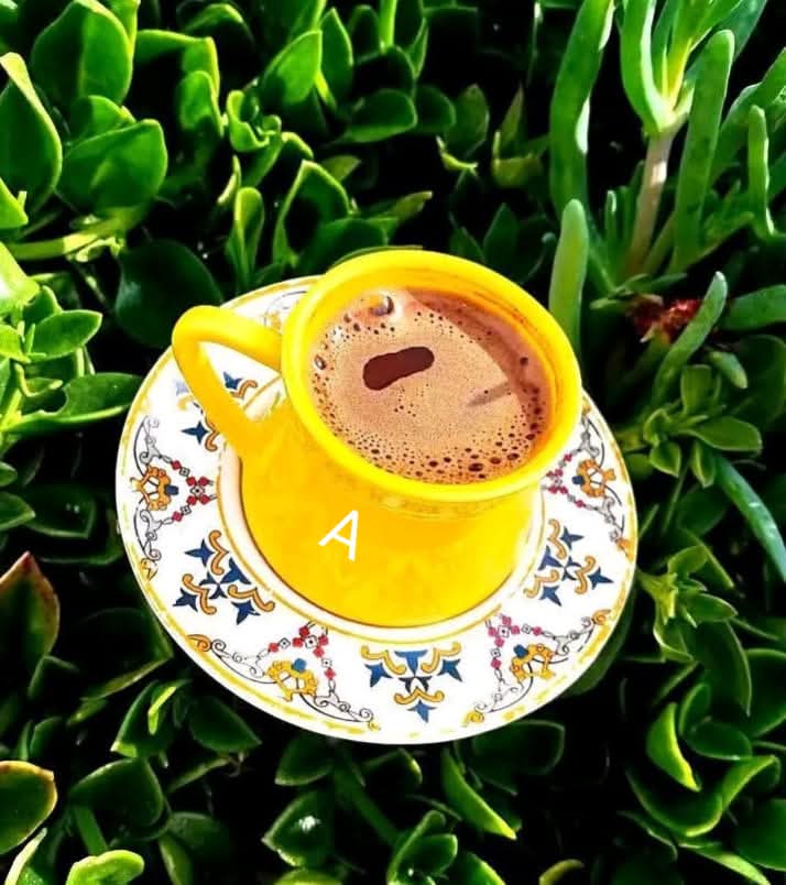 بدايـــــــــــــــہ 
⇣⇣
<a href="/T__vxs/">ꪀꪖᦔⅈꪀꫀ🔥</a>
⇣⇣
؏َ970
⇣⇣
 يـ؏َـطيڪَم ̨اڶـ؏ـافيہَ |✿'
؏َســـــــاڪم ؏َ القـــــوة..🔥🌿