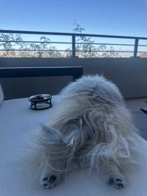 Watch NIKKI BENZ's leaked NSFW photo on TwXstars