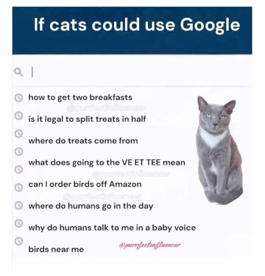 Nietzschescode's tweet image. 