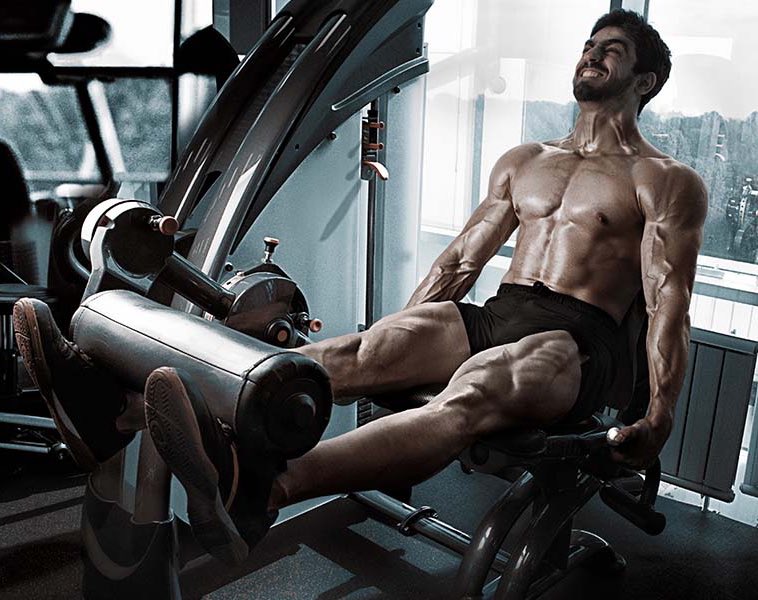 Quads, Hamstrings, Adductors, Glutes, Calves, Chest, Lats, Mid-Upper Back, Shoulders, Biceps, Triceps, Traps, Abs &amp; Oblique — these are the major muscle groups

You only NEED 2-3(ish) HIGH QUALITY exercises for each

Here they are: