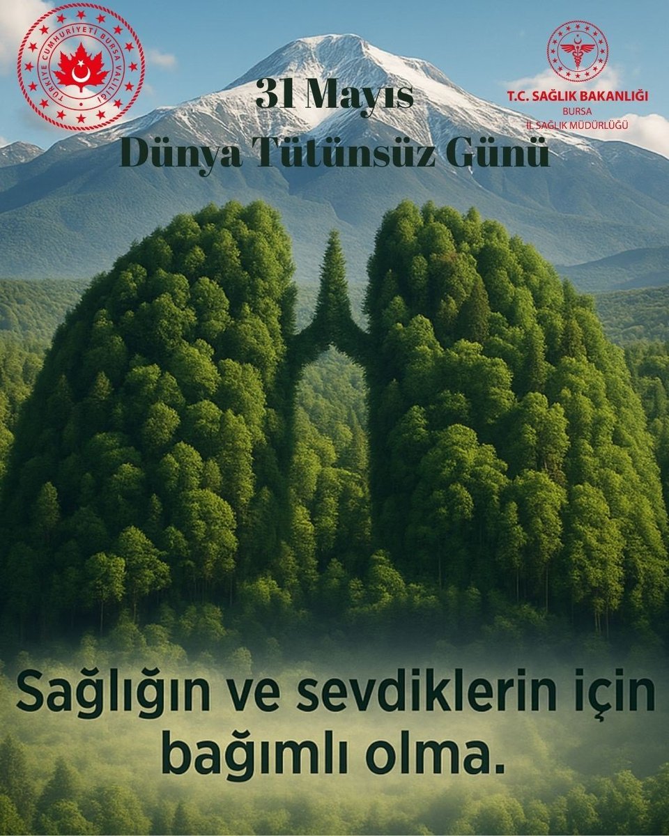 TOKİ ŞEHİT JANDARMA ER ALİ BAKIŞ İLKOKULU (@alibakisio2014) on Twitter photo 