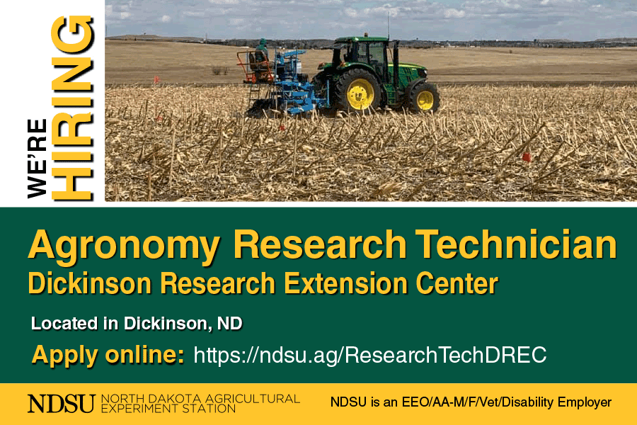 CropSystemsDREC's tweet image. 🚨 We're hiring! 🚜
Join our team at the Dickinson Research Extension Center (NDSU) as an Agronomy Research Technician!
🔧 Full-time + benefits
🌾 Hands-on field + lab work
📍 Located in Dickinson, ND
Apply now 👉 ndsu.ag/ResearchTechDR…