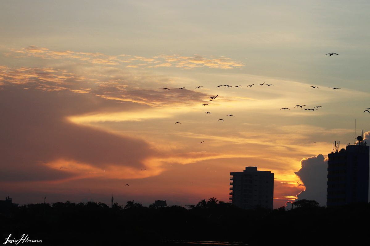 #AmaneceresGuajiros. Buenos dias Mundo; @postalesguajira del amanecer en las costas riohachera zona riito. #Laguajira; tierra de los Amaneceres irrepetibles. <a href="/destacar/">ISABEL FERNANDEZ AR</a> <a href="/seguidores/">seguidores</a> <a href="/mincultura/">MinCultura Colombia</a> @AlcaldíaRiohacha  <a href="/postales_col/">Postales de Colombia 🇨🇴</a>  <a href="/PROCOLOMBIACO/">PROCOLOMBIA</a>  <a href="/fonturcol/">Fontur Colombia</a> <a href="/infopresidencia/">Presidencia Colombia 🇨🇴</a>
