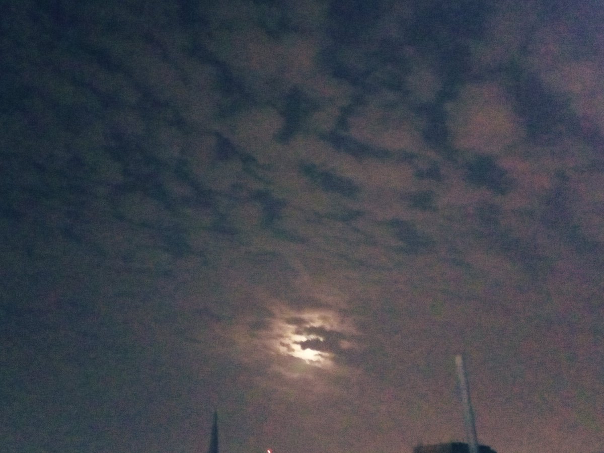 Good night dear friends ✨