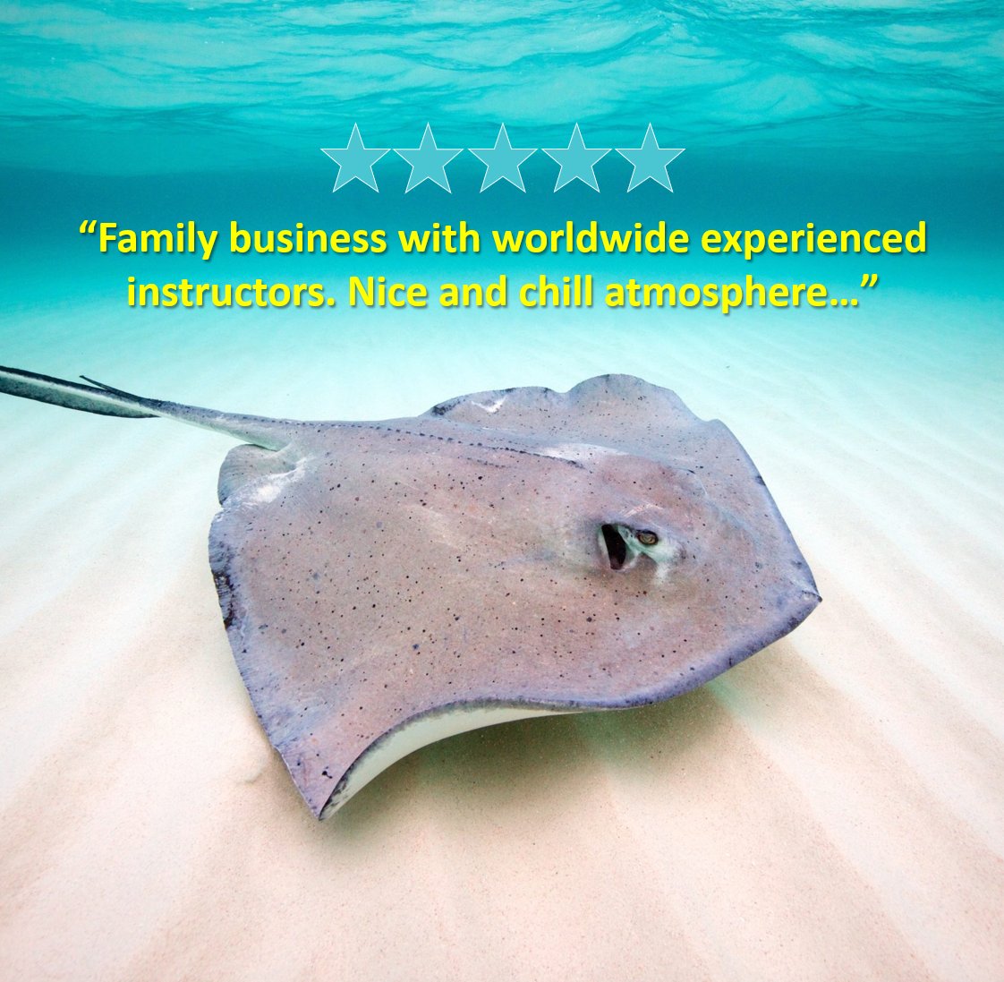 Scuba_Directory's tweet image. 5 Star Review of Antigua Scuba School
📍Antigua, Antigua and Barbuda
 📸📝by user KrzysztofK
 👉thescubadirectory.com/diveshopprofil…

#antiguaandbarbuda #antiguascubaschool #ScubaDivingMag #PADI #paditv #scubadivelife #scubadive #scubadiving #scuba #dive #diving #divetrip #divetravel