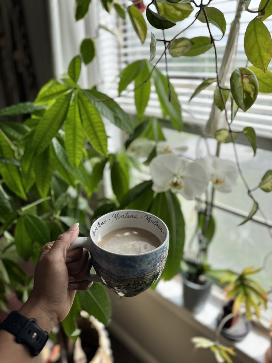 morning coffee with my plants. 

🌱