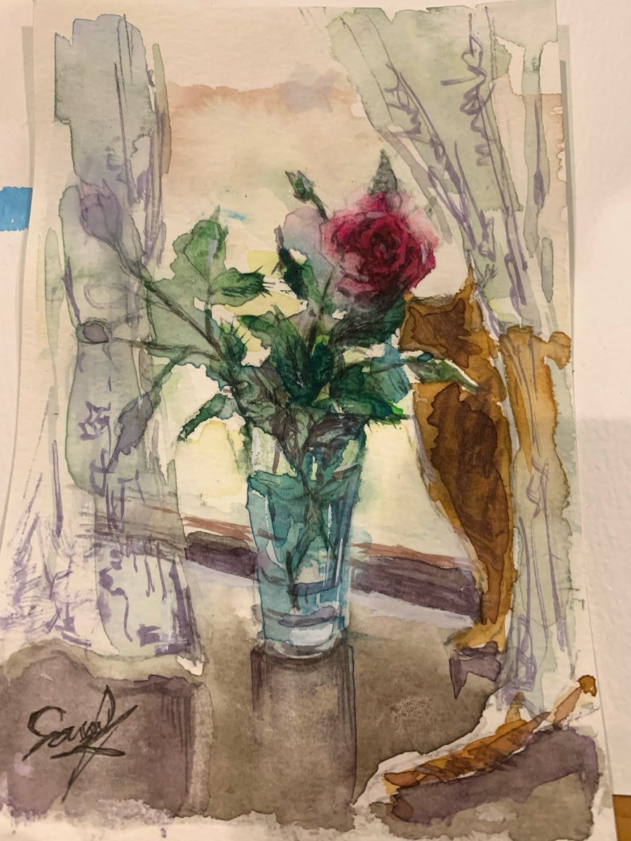 daySunny14's tweet photo. 窓辺のバラと猫
#watercolor #透明水彩　#cat https://t.co/M8JdcT6hLC