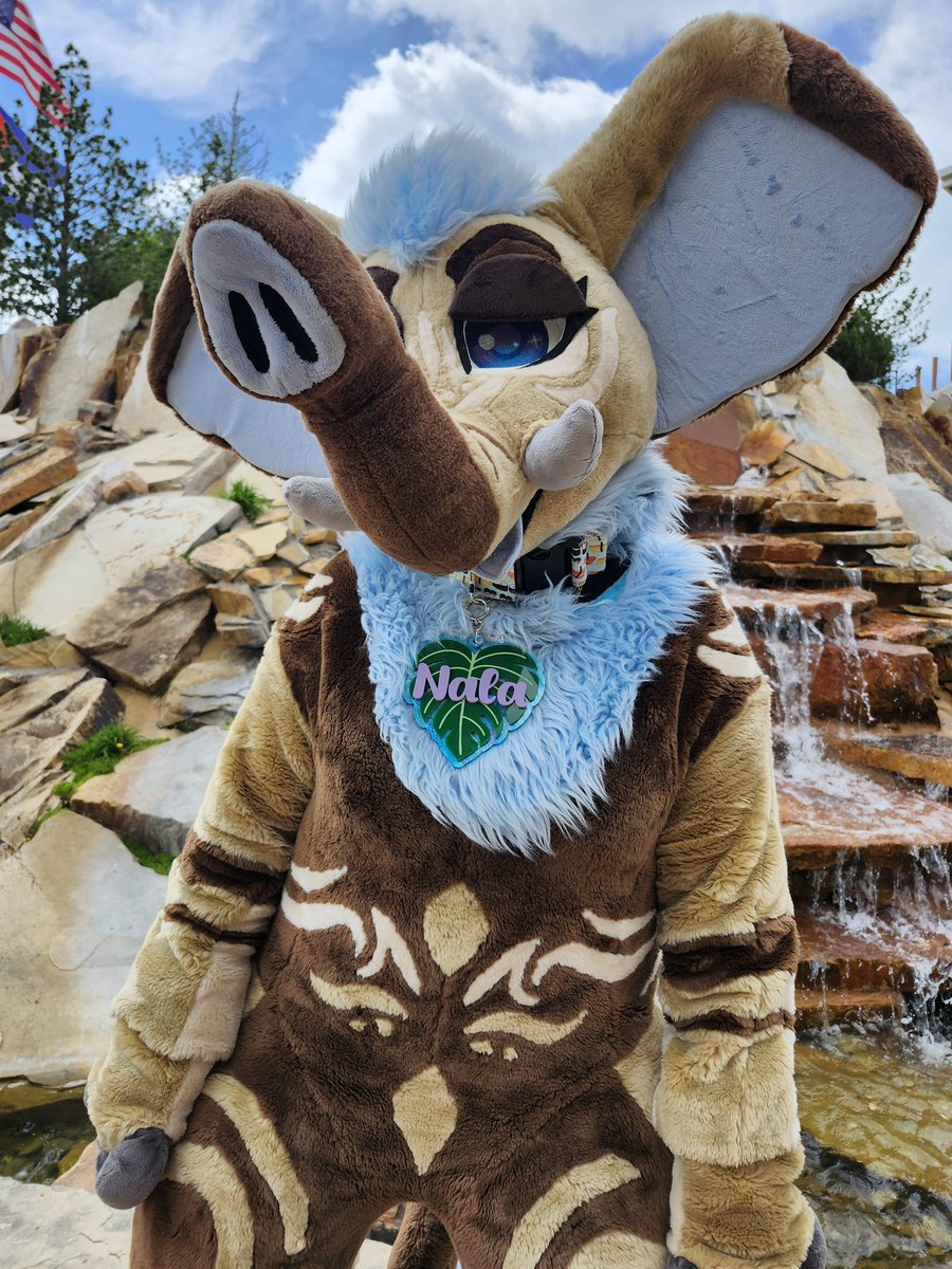 Cup Critters & Co. (@cupcritters) on Twitter photo How adorable is this fursuit tag on <a href="/Nala_Elephant/">Nala The Elephant ππDenfur</a> ??!!
β¨We are open for commissions! DM to discuss designs and $$ β¨ How adorable is this fursuit tag on <a href="/Nala_Elephant/">Nala The Elephant ππDenfur</a> ??!!
β¨We are open for commissions! DM to discuss designs and $$ β¨