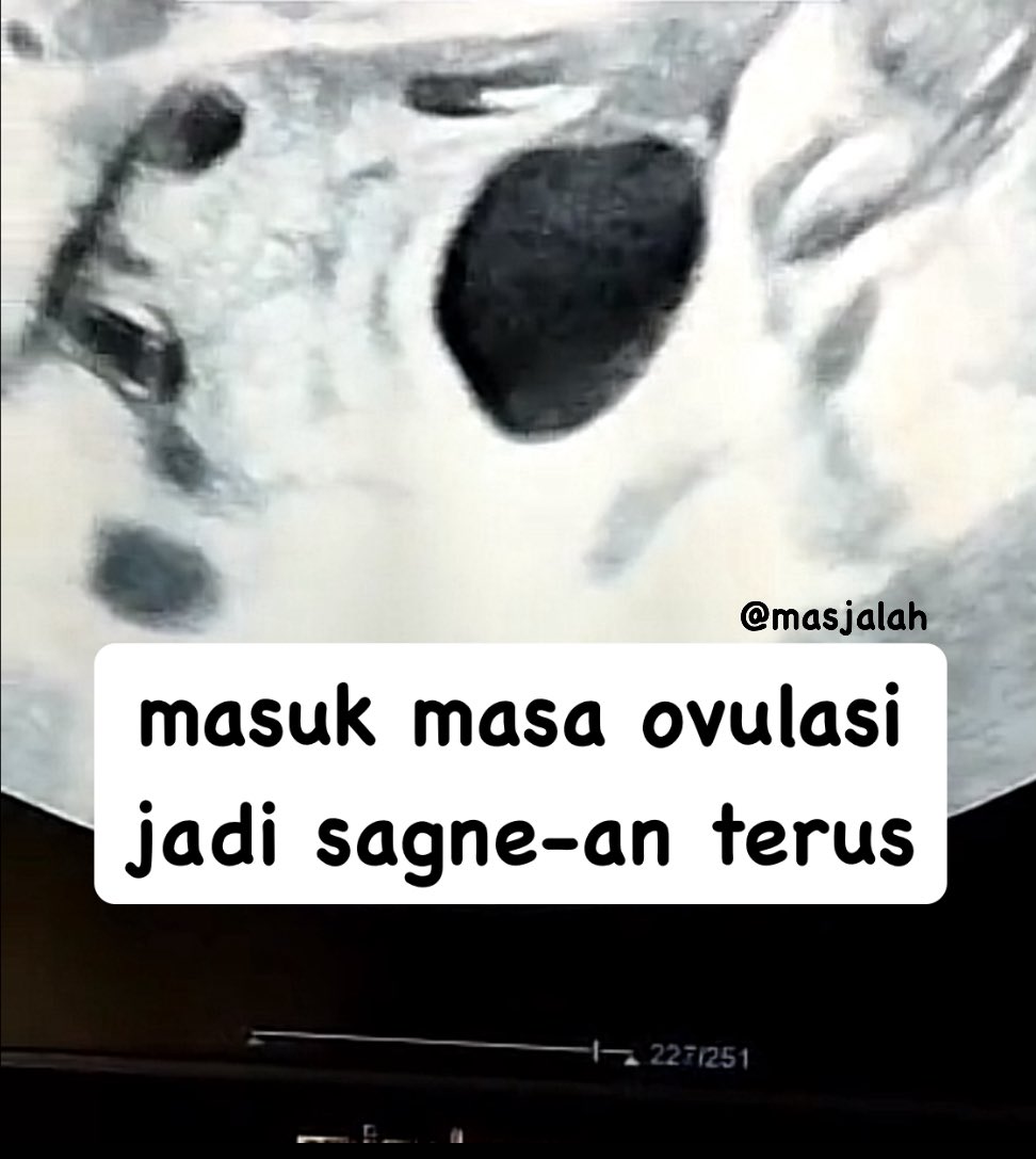 masjalaah tweet media