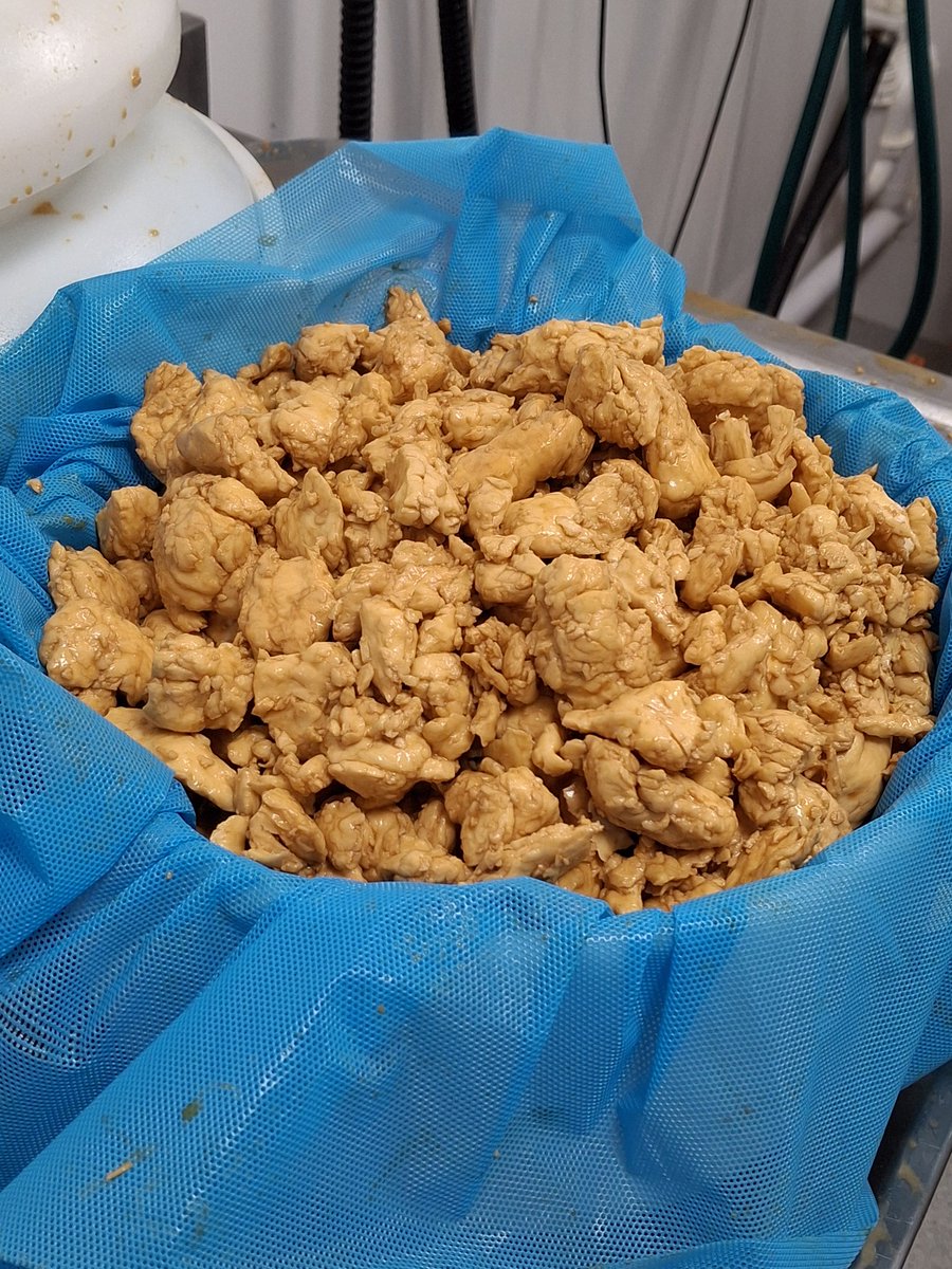 Making more gold award winning marmite cheddar <a href="/JoeBangles11/">Joe Bangles CBE</a> <a href="/MadeInNorthants/">Made In Northamptonshire</a> <a href="/foodawardsHQ/">Weetabix Northamptonshire Food & Drink Awards</a> <a href="/ChronandEcho/">Northampton Chron</a> <a href="/NorthantsLife/">Northants Life</a> <a href="/CoCharcuterie/">Northampton Charcuterie Co #SBSWINNER</a> <a href="/friarsfarm1/">friars farm #SBS Winner</a>