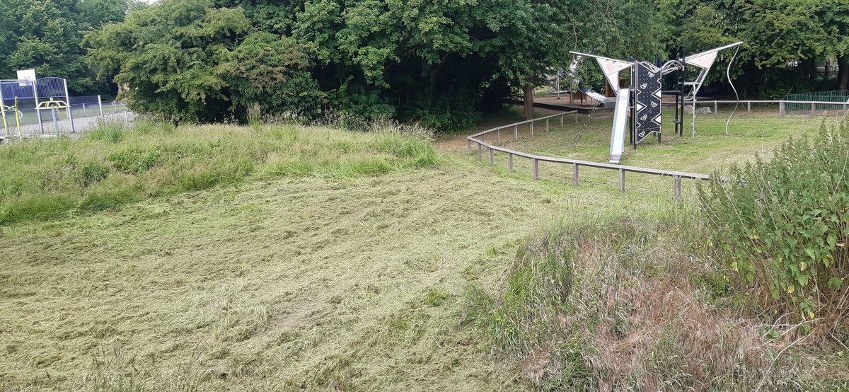 It's great when the city council team comes and cuts the grass at my local park on Abbey ward. This is the sort of service I pay my taxes for, not endless legal cases about Mill Road bridge
