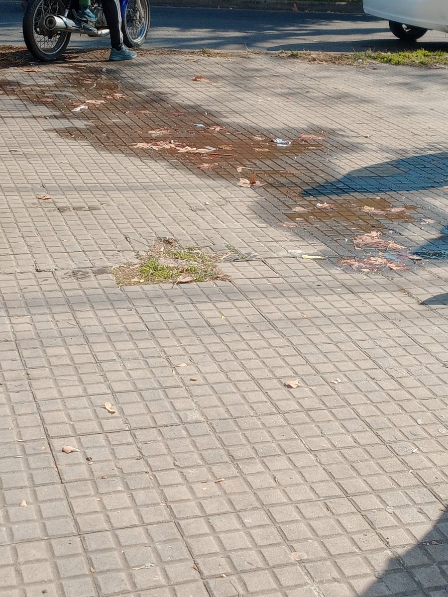 MaJo Pringles (@majopringles86) on Twitter photo Día 2: no hay respuesta, el 147 no anda.. perdida de agua en la vereda de la escuela número 42 de calle 63 entre 21 y 22 (entre el jardín y la escuela) <a href="/lucia_barbier/">Lucía Barbier</a> <a href="/nicomorzone/">Nicolás Morzone</a> <a href="/dario_ganduglia/">Dario Ganduglia</a> <a href="/FMoschettoni/">Fabricio Moschettoni</a> <a href="/laporte_jorge/">Jorge Laporte</a> <a href="/martinianofp/">Martiniano Ferrer Picado</a> <a href="/LaPlataMLP/">Municipalidad de La Plata</a> <a href="/LucianaBartoli/">Luciana Bártoli</a> Día 2: no hay respuesta, el 147 no anda.. perdida de agua en la vereda de la escuela número 42 de calle 63 entre 21 y 22 (entre el jardín y la escuela) <a href="/lucia_barbier/">Lucía Barbier</a> <a href="/nicomorzone/">Nicolás Morzone</a> <a href="/dario_ganduglia/">Dario Ganduglia</a> <a href="/FMoschettoni/">Fabricio Moschettoni</a> <a href="/laporte_jorge/">Jorge Laporte</a> <a href="/martinianofp/">Martiniano Ferrer Picado</a> <a href="/LaPlataMLP/">Municipalidad de La Plata</a> <a href="/LucianaBartoli/">Luciana Bártoli</a>