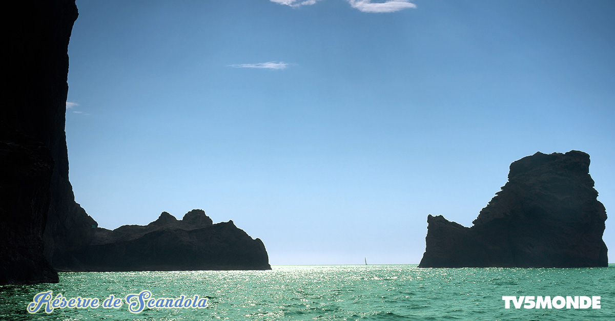 TV5MONDEAsia's tweet image. 🌊 La réserve de #Scandola, un joyau sauvage en #Corse ! Falaises rouges, eaux turquoise : un paradis à découvrir. 

#VoyageFrance #CorsicaVibes #GoToCorsica