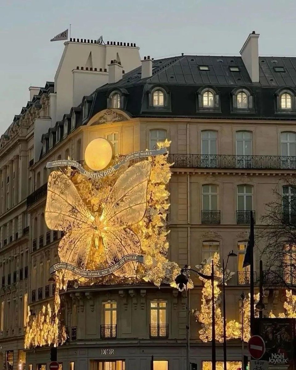 fairyprxncess's tweet image. Christian Dior butterfly building
