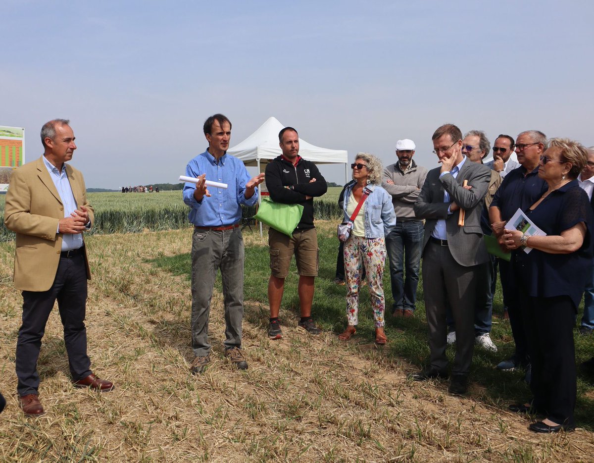 Chambre d'agriculture de région Ile-de-France tweet media