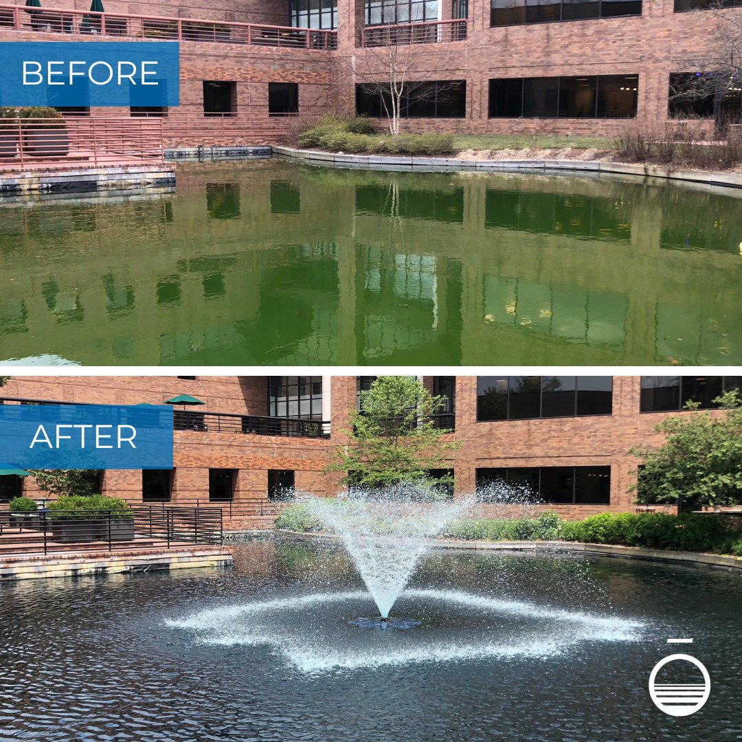 What a difference a season makes. 🌿
This pond turned from bright green and algae-filled to a clean, clear aquatic asset on this corporate campus—with the fountain back in action. Just the kind of transformation we love to see.

#PondCare #BeforeAndAfter #WaterManagement