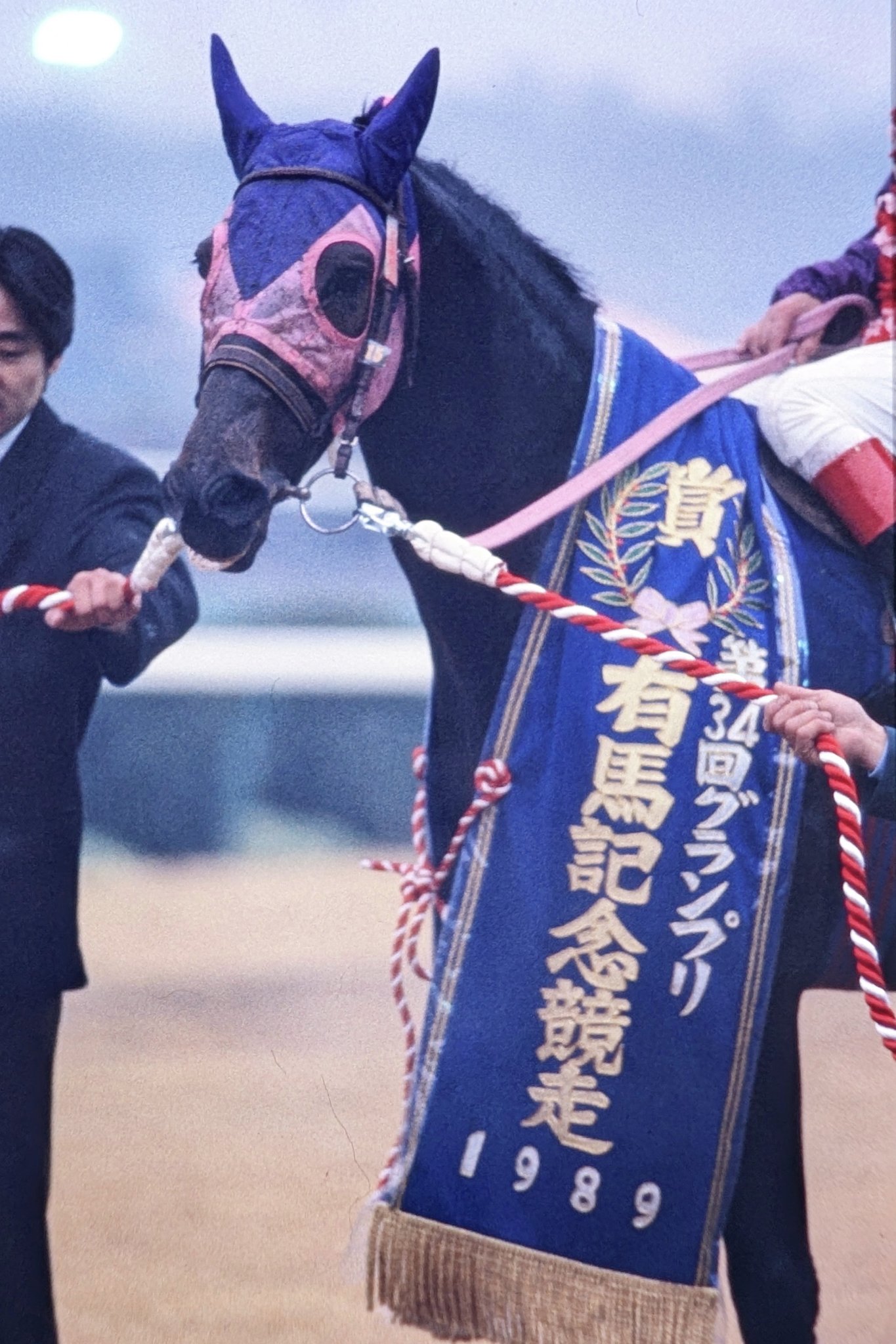 旅順戦勝記念品 セブン-イレブン限定付録」”2025年の最強開運財布！”ドクター