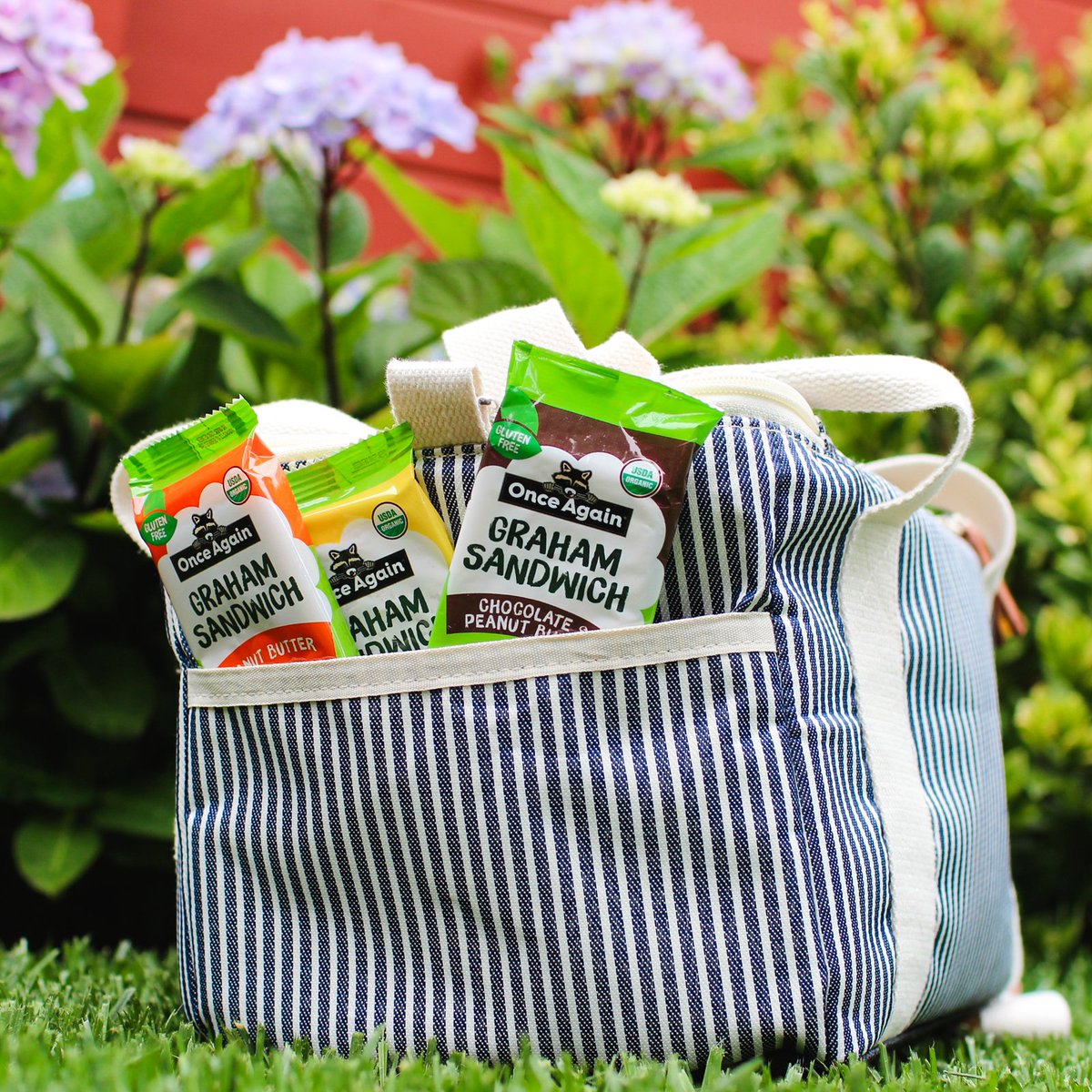Summer heat = picnic weather! 😎

Park, pool, or beach - we’ve got your snack game stacked! Our Graham Sandwiches are the ultimate grab-and-go treat: no mess, all yum. Just toss a few in your cooler or snack bag and you’re picnic-party ready.