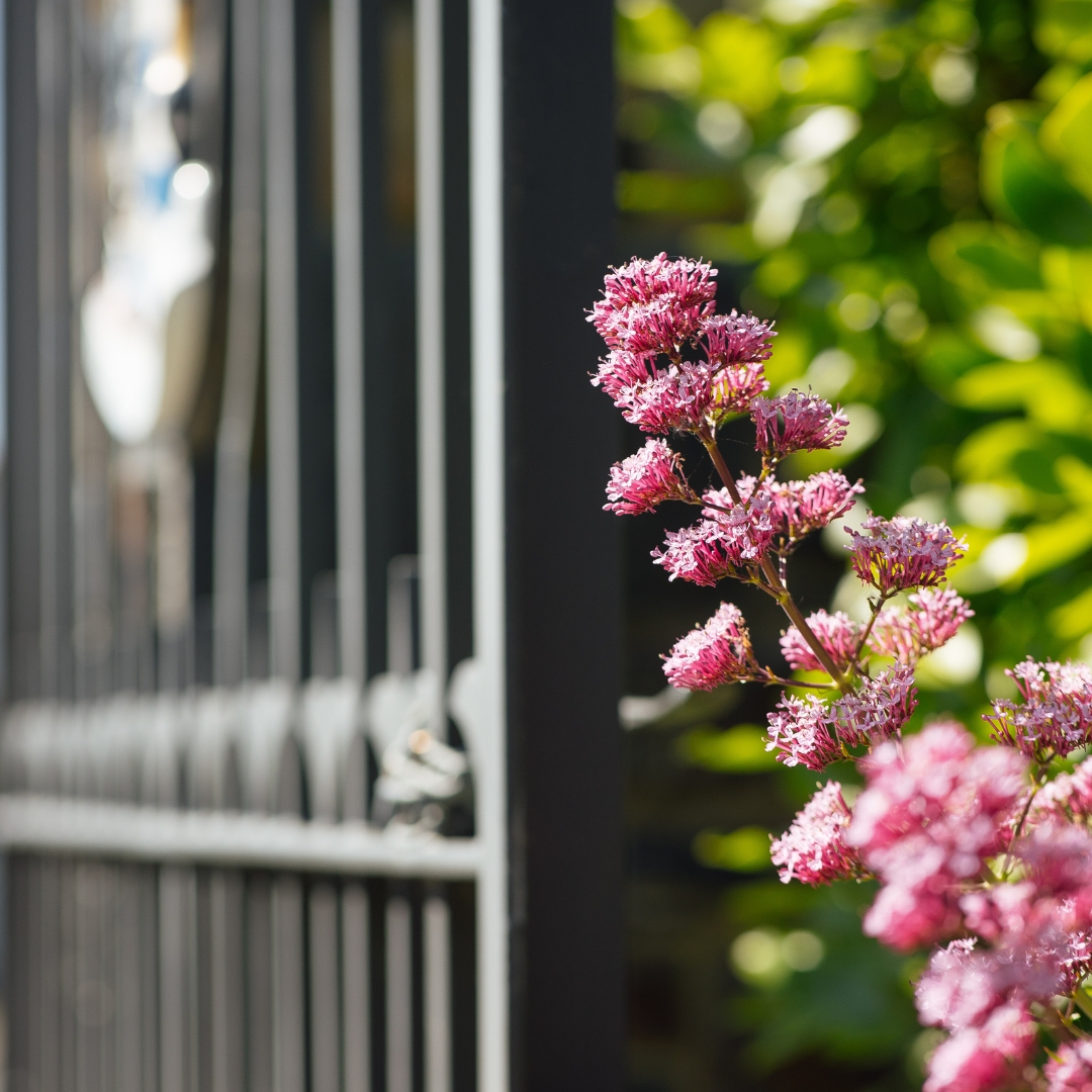 Sunshine &amp; Good Vibes 

There’s nothing better than dining al fresco or sipping a drink on your private terrace when the sun’s out in Pembrokeshire.

Book Here - twryfelinhotel.com

#twryfelinhotel #celticcollection #stdavids #pembrokeshire #hotel
