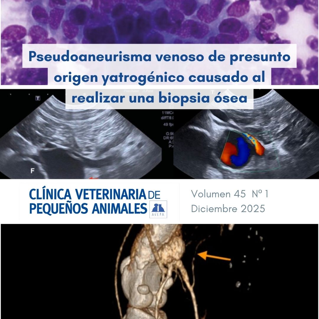 ¿Haces #biopsiasóseas? Revisa este #casoclinico en la #RevistaAVEPA : #pseudoaneurisma venoso tras biopsia en un paciente oncológico.
Revisa el caso completo, además de riesgos y buenas prácticas en clinvetpeqanim.com/index.php?pag=…
#Veterinaria #FormaciónVeterinaria