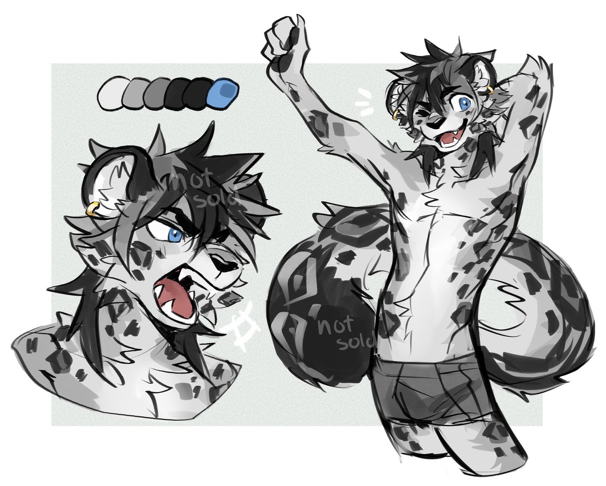 this guy is looking for a new home! + info below ⬇️✨