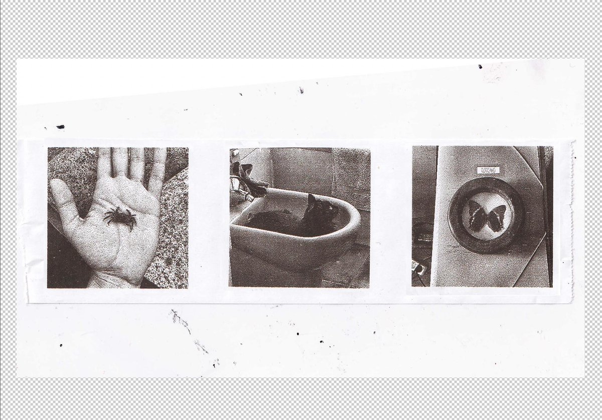 📸Atlas_Fotozine. Autoedizio lantegiak | Talleres de autoedición

🗓️Ekainak 25 Junio

🕕18:00

tabakalera.eus/eu/atlasfotozi…