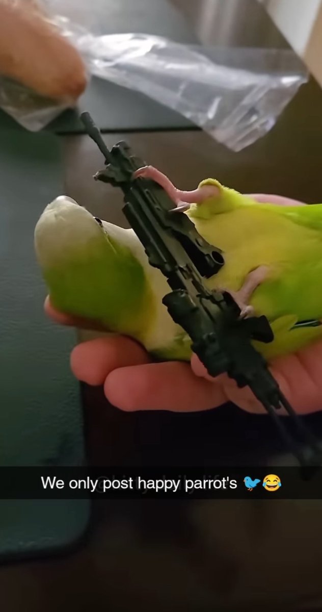 regan (@unclehaver) on Twitter photo 