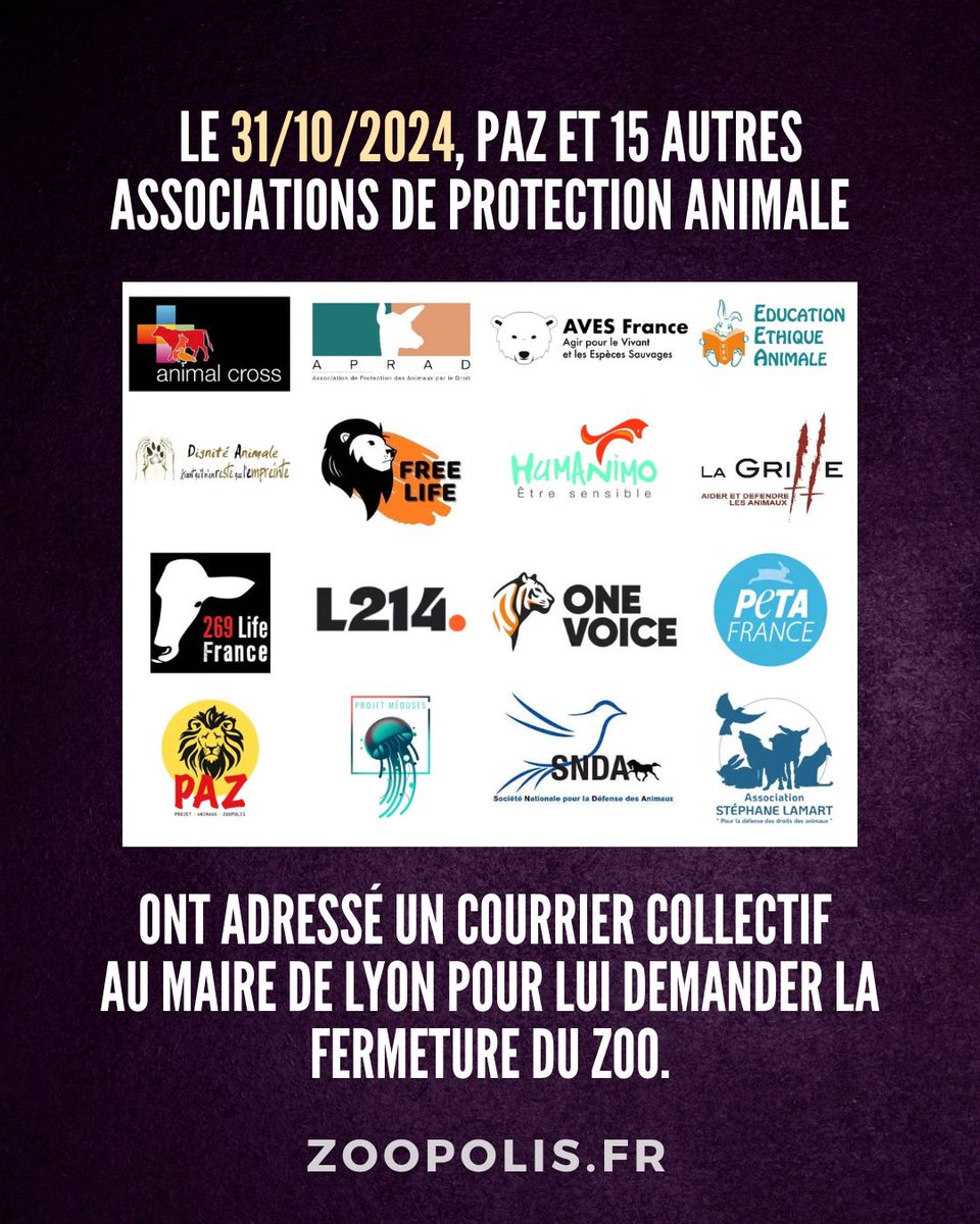 Le mandat de <a href="/Gregorydoucet/">Grégory Doucet</a> touche à sa fin. Pourtant, le #ZooDeLyon n'est toujours pas fermé.  📢PAZ manifestera mercredi 11/06 à 18h à l'occasion du bilan de mandat du Maire de #Lyon. 

En savoir plus :  zoopolis.fr/nos-campagnes/…