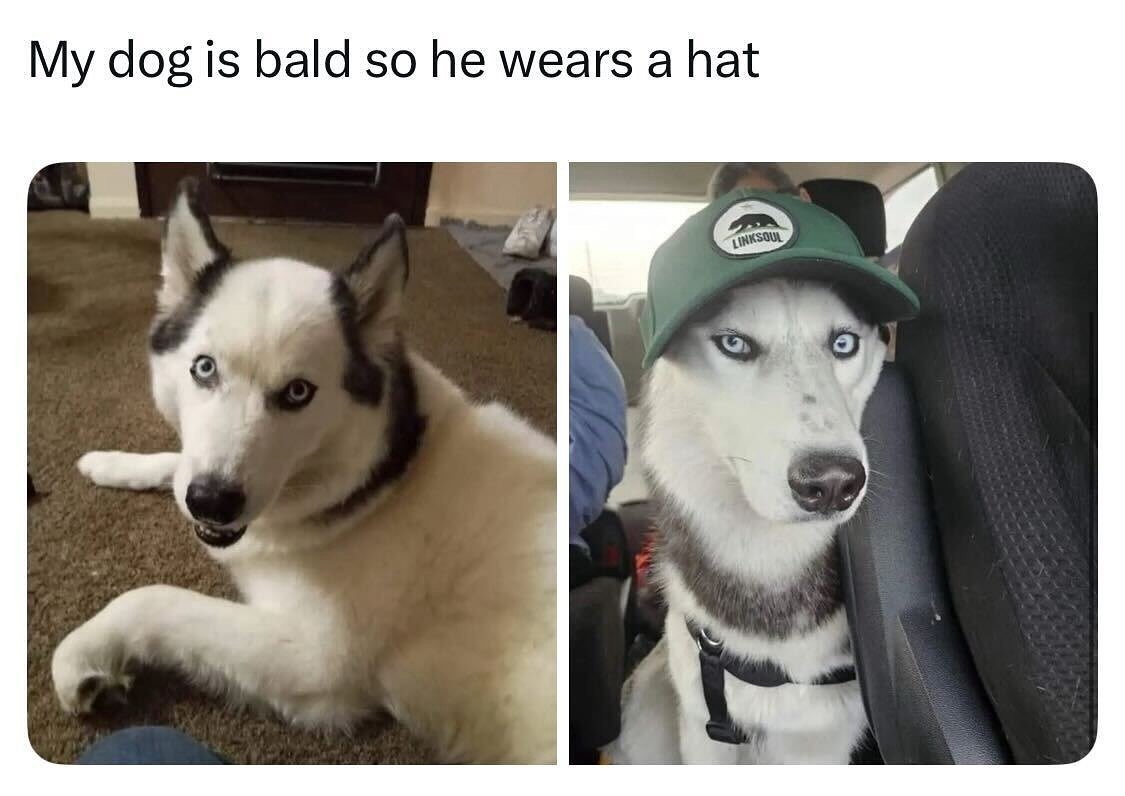 RodriJennifer's tweet image. He lost some hair but gained major street style. 🧢