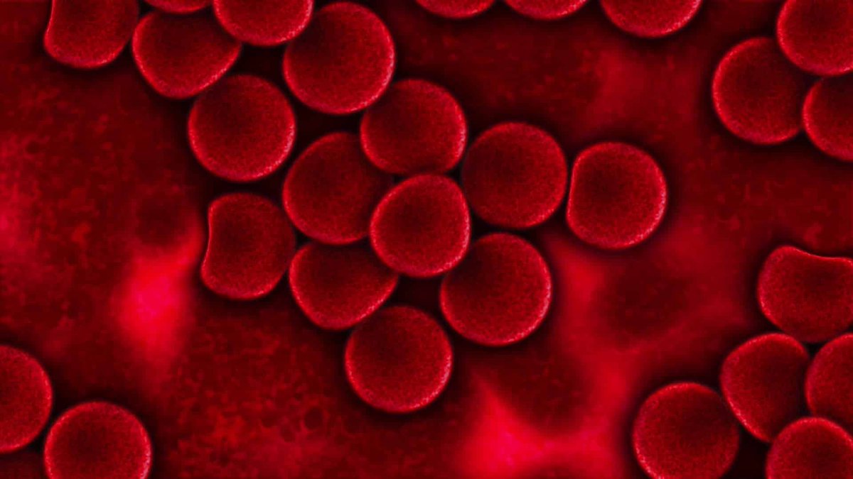 Nitric oxide from nitrates in vegetables, such as greens, not only improves oxygen efficiency, but also oxygen delivery by vasodilation of blood vessels, opening up our arteries so there’s more blood flow. bit.ly/3joxk0V