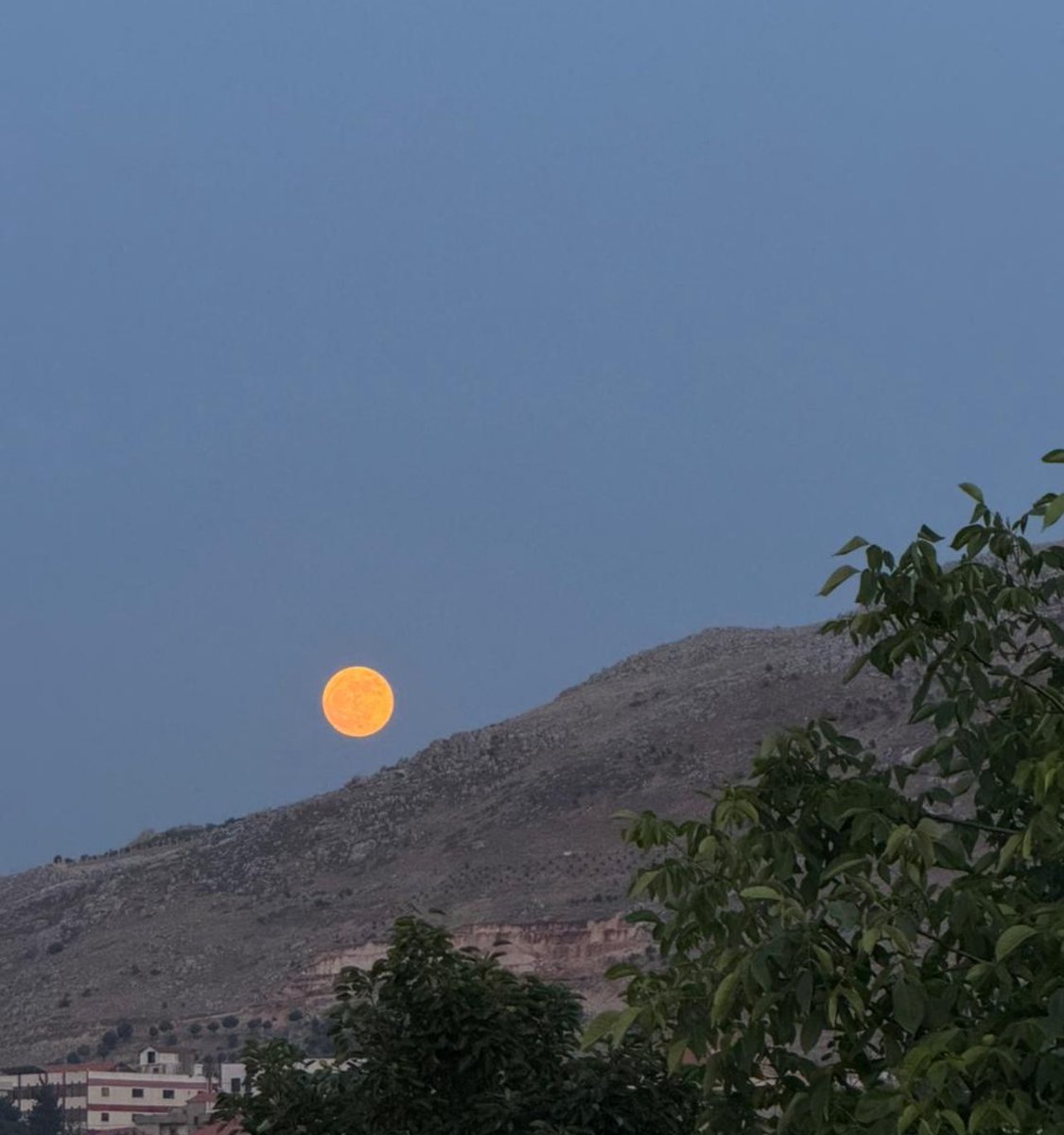 الحمدلله على عين مبصرة و جسد مُعافى
وقلب ينبض ، لك الحمد ربي على نعمك التي لا تُعد ولا تُحصى