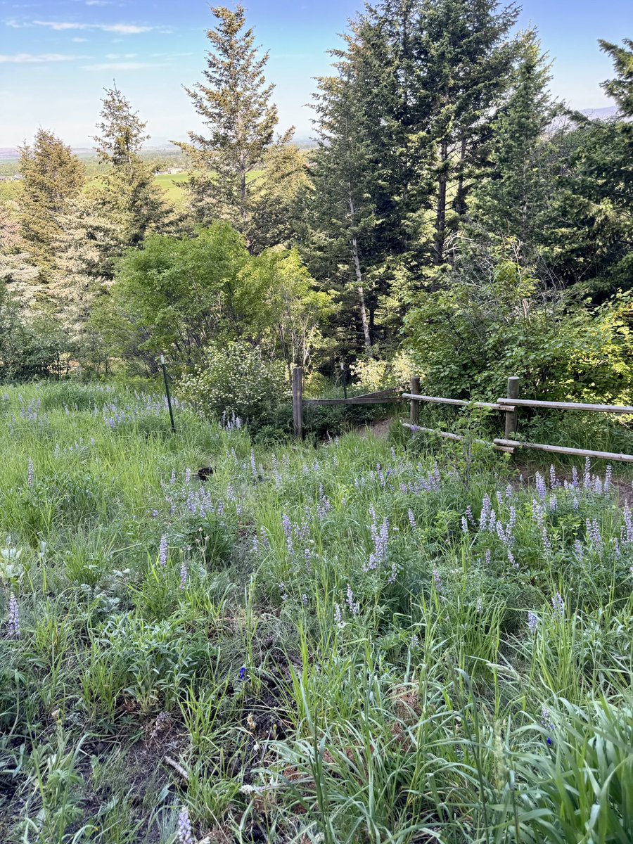 Jennifer Knight tweet media