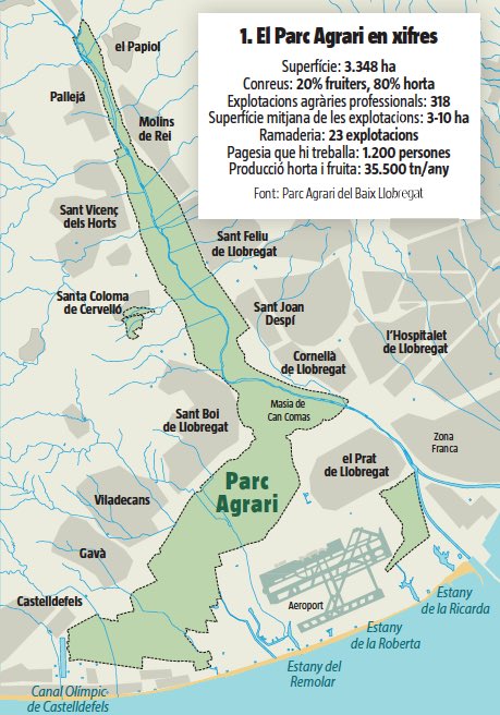 jaumeclotet's tweet image. Si l’aeroport s’amplia sobre les zones humides protegides i aquestes zones destruïdes es “compensen” amb la creació de noves zones humides adjacents, hi ha algú que hi surt perdent: el parc agrari, els pagesos i l’agricultura de proximitat.