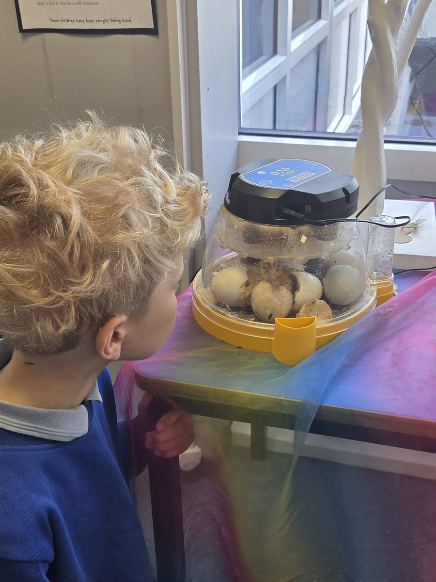 Haddon School tweet media